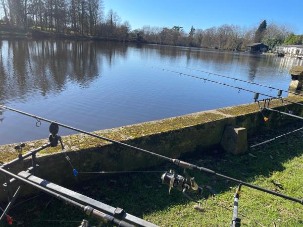 Lacs à vendre à Passais Villages (61350) - Orne