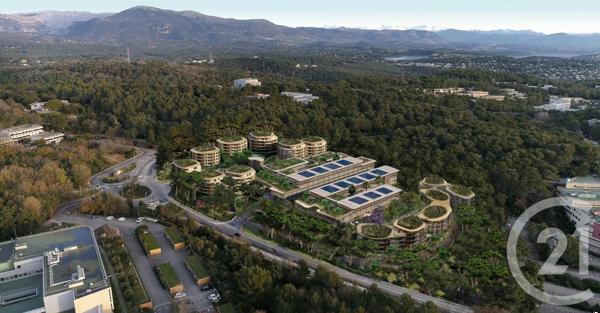 appartement à vendre  3 pièces - 59,60 m2 VALBONNE - 06