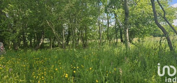 Terrain à vendre 5 181 m² Franquevielle