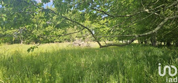 Terrain à vendre 5 181 m² Franquevielle