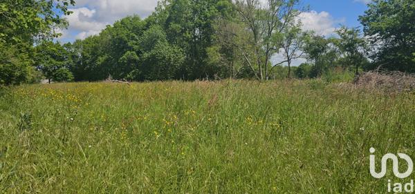 Terrain à vendre 5 181 m² Franquevielle