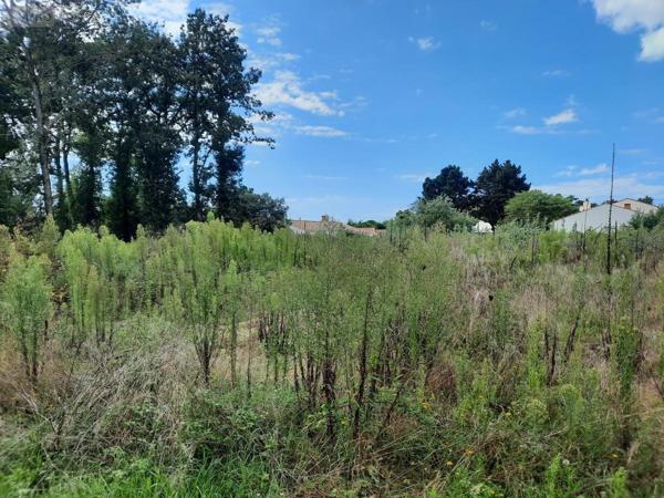 Terrain à Batir à vendre à Saint-Hilaire-de-Riez en Vendée (85270), ref : 85091-5158