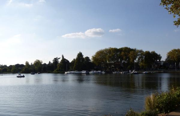 Agence immobilière à vendre