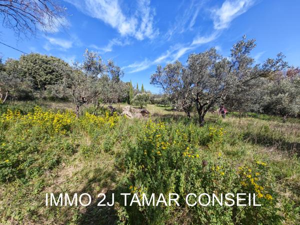 Flayosc (83780) Flayosc – Terrain constructible 800 m²