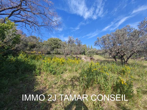 Flayosc (83780) Flayosc – Terrain constructible 800 m²