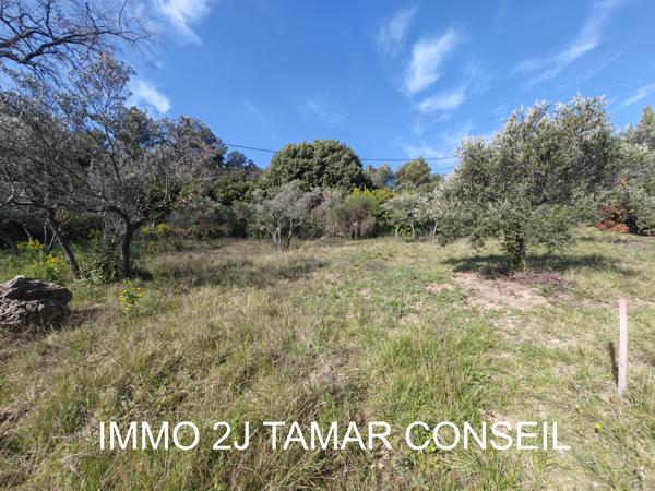 Flayosc (83780) Flayosc – Terrain constructible 800 m²