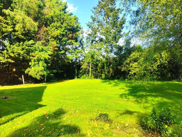 À vendre  Spacieuse maison familiale avec dépendances et parc arboré