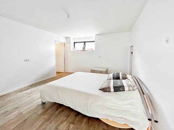 Magnifique Loft à Vendre Roanne 5 pièce(s) 206 m² + piscine