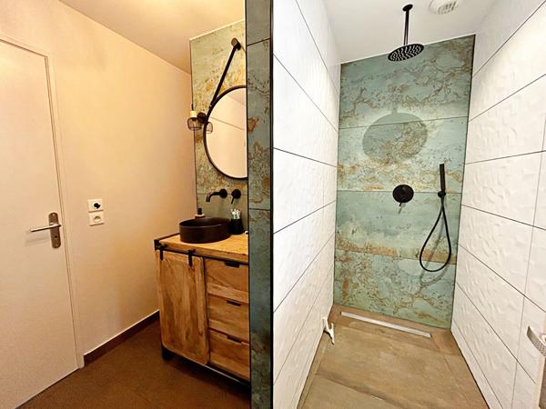 Magnifique Loft à Vendre Roanne 5 pièce(s) 206 m² + piscine