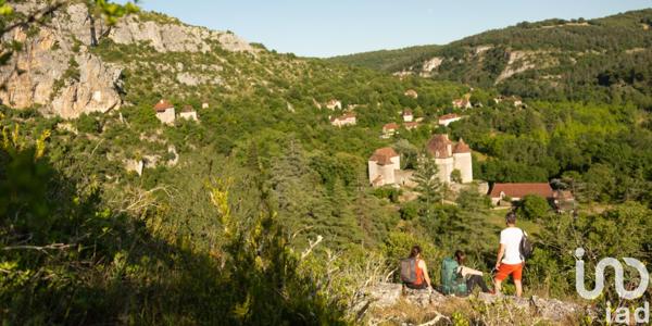 Terrain à vendre 247 635 m² Puy-l'Évêque