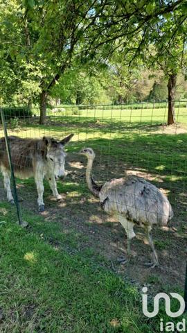 Maison à vendre 8 pièces 320 m² La Gacilly