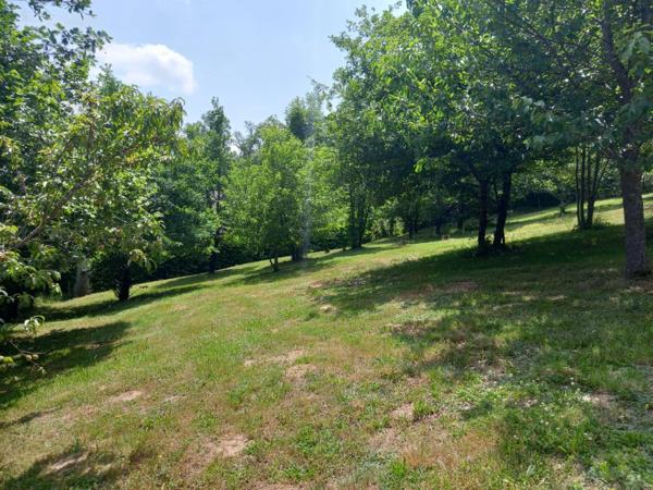 Maison à vendre 9 pièces VILLENEUVE (12)