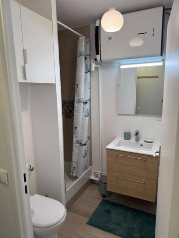 Appartement Meublé Maisons Alfort 1 pièce17.13 m²