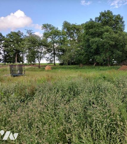 Terrain à bâtir de 2498 m² avec un grand bâtiment