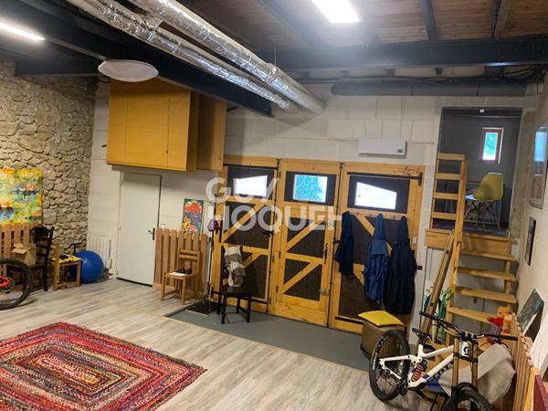 CHARMANTE VIGNERONNE RESTAUREE ET SON EXTENSION: 150m2