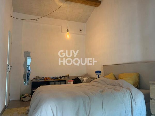 CHARMANTE VIGNERONNE RESTAUREE ET SON EXTENSION: 150m2