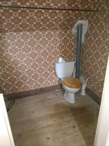 Achat - Maison La Châtre 36400 431 m 2
