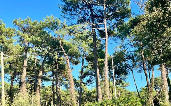 Maison à vendre    6 pièces • 170 m2 Anglet