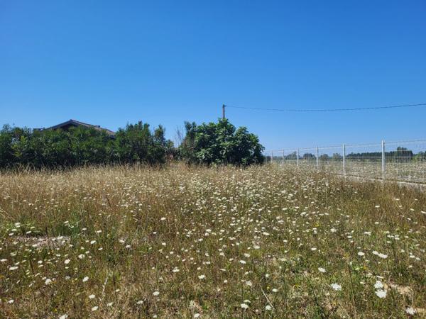 Vente / Terrain constructible