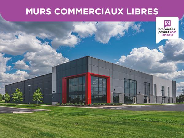 MURS COMMERCIAUX / LOCAL D'ACTIVITÉ Récent 420 m² -  HORBOURG-WIHR, SECTEUR COLMAR