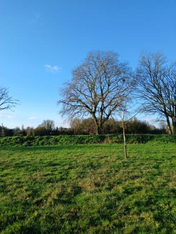 Maison Les Hauts d'Anjou 5 pièces 155 m2