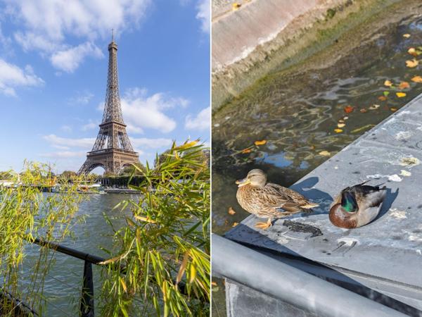 Vente Péniche de luxe Paris 16 5 Pièces 230 m²