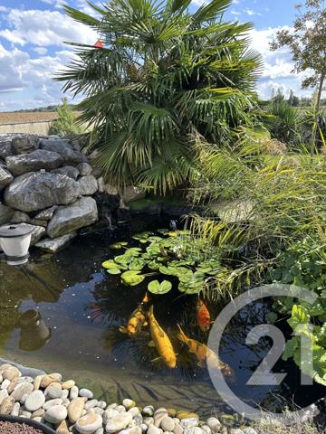 Maison à vendre  7 pièces - 160,40 m2 BLIGNY LES BEAUNE - 21