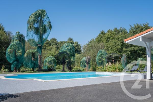 Maison à vendre  7 pièces - 217 m2 BENESSE MAREMNE - 40