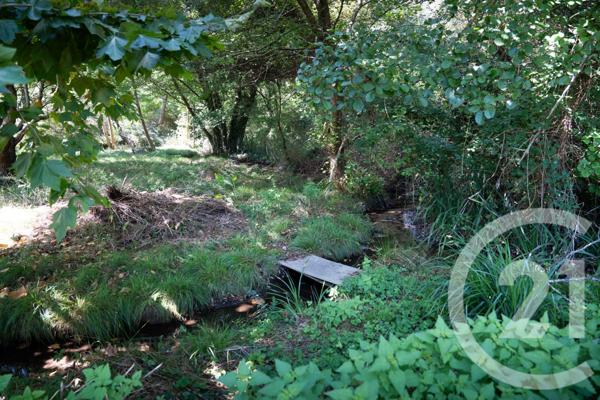 Maison à vendre  7 pièces - 217 m2 BENESSE MAREMNE - 40