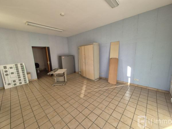 Ensemble immobilier d'environ 373 m2 sur 24.25 ares à Ingwiller.