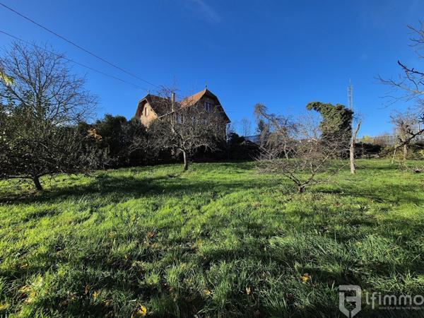 Ensemble immobilier d'environ 373 m2 sur 24.25 ares à Ingwiller.