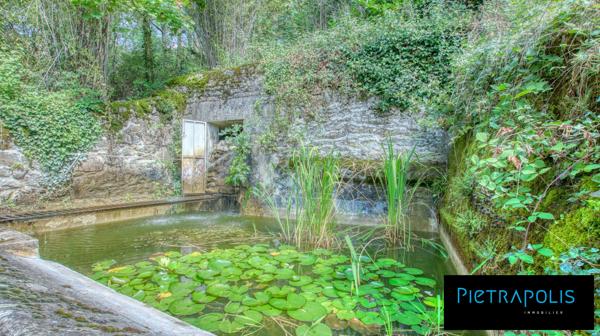 Demeure du XVIIème à rénover, piscine, vue panoramique et dépendance
