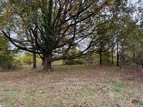 Maison à vendre 12 pièces 7 chambres TIERCE (49)