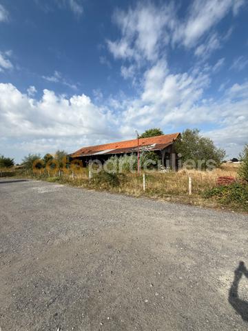 Vente
                Maison339,79 m² - 1 Pièce -
                    MUILLE VILLETTE (80400)