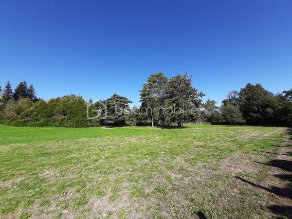 Lotissement de 1 285 m²