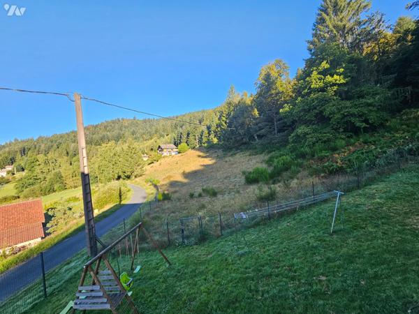 13605
A LE THOLY (88530) 15 chemin du Pré Champ