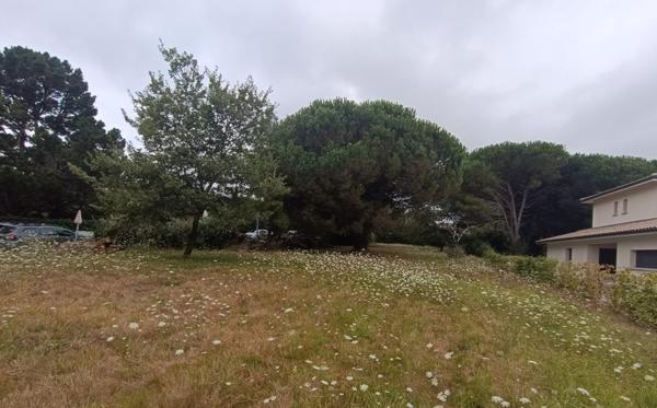 Terrain à vendre |  Latresne |  1264 m²