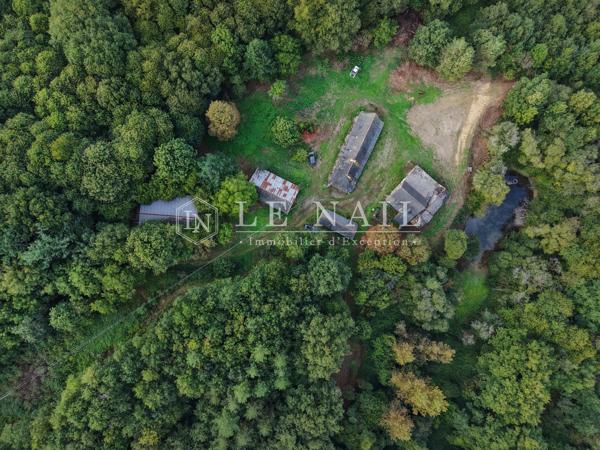 Domaine boisé de 26 ha avec ancien corps de ferme en Haut-Anjou
