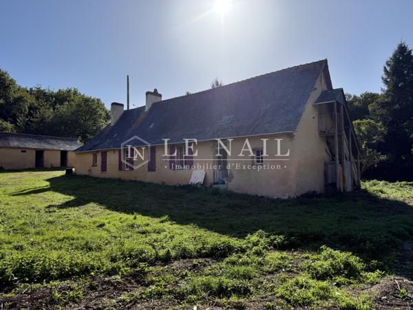 Domaine boisé de 26 ha avec ancien corps de ferme en Haut-Anjou