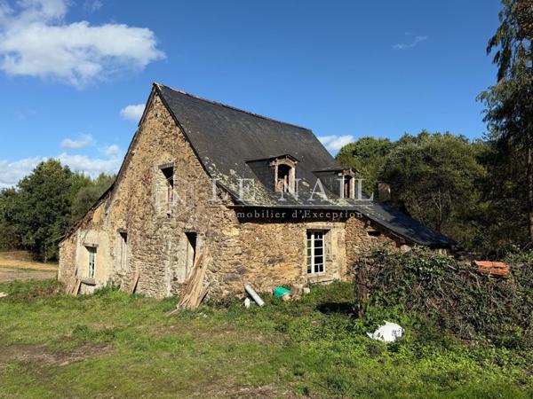 Domaine boisé de 26 ha avec ancien corps de ferme en Haut-Anjou