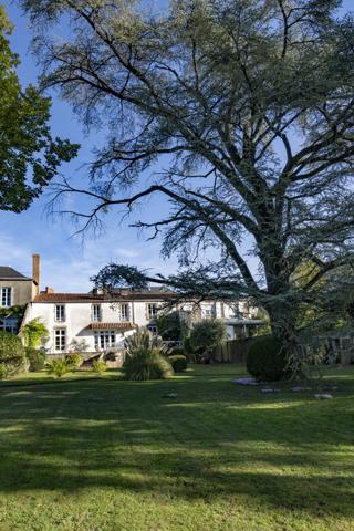 Hotel particulier en Hyper Centre ville
