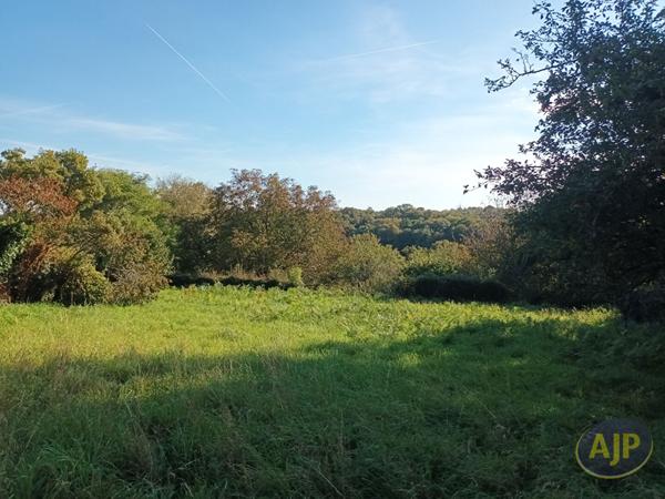Vente terrain Questembert : 139 945 € - AJP Immobilier Questembert