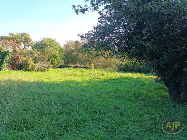 Vente terrain Questembert : 139 945 € - AJP Immobilier Questembert