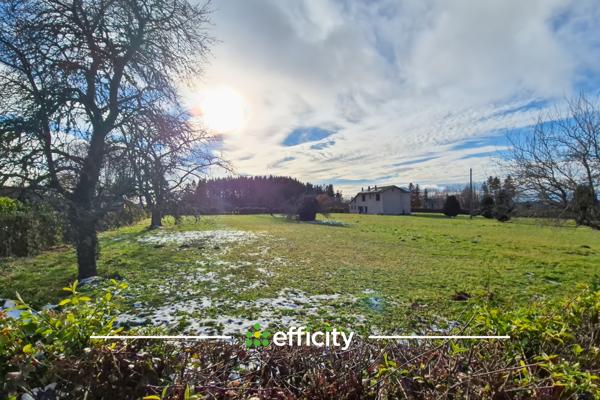 Terrain - 3000 m² Exclusivité efficity