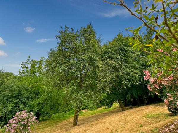 Maison à vendre 5 pièces BELMONT (32) - 115 m2 avec studio - Terrain 1596 m2