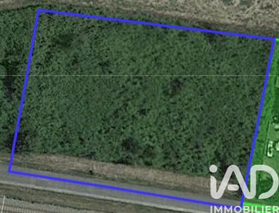 Terrain à vendre 2 205 m² Saint-Antoine-de-Breuilh