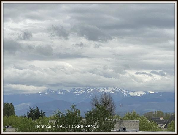 Dpt Hautes Pyrénées (65), à louer  colocation TARBES appartement T3