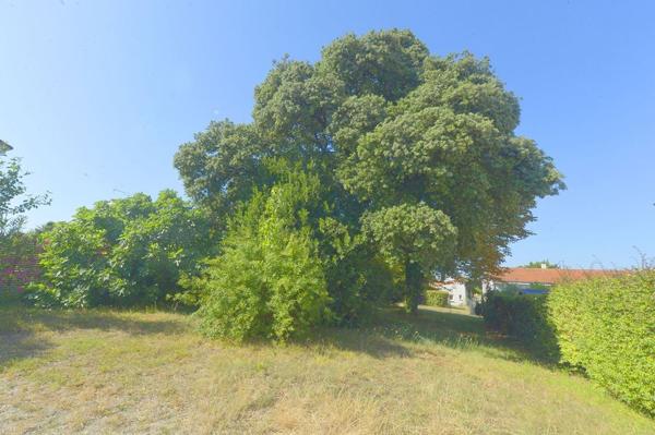 Maison - MESCHERS SUR GIRONDE