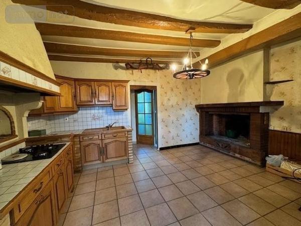 Maison à vendre à Noyen-sur-Sarthe dans la Sarthe (72430), ref : 72120-885