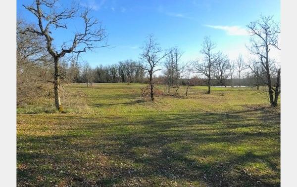 Vente Terrain Constructible viabilisé Aujols   